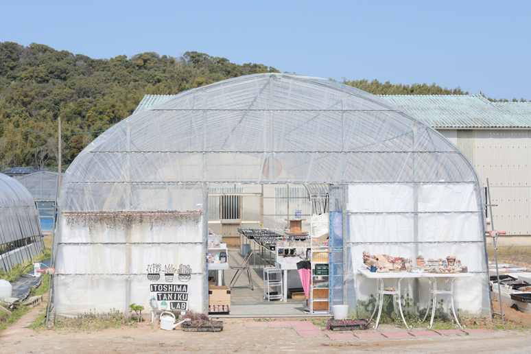 糸島多肉Labのビニールハウス外観